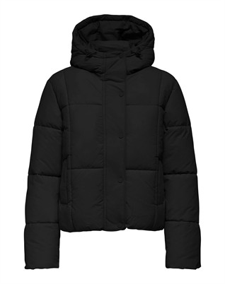 JDYWonder Short Hood Puffer Jacke